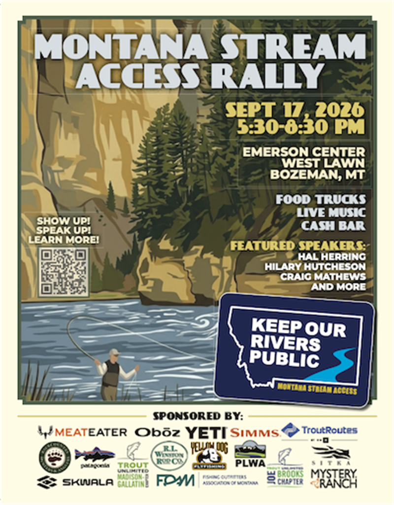 /Portals/0/NADevEventsImages/Stream Access flyer hi_600.png